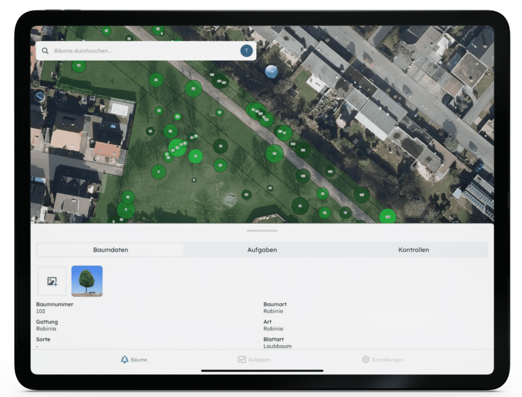 Das Baumkataster auf dem Ipad mit den Baumdaten