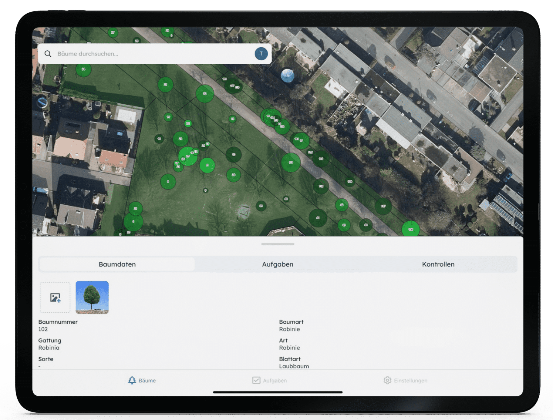 Das Baumkataster auf dem Ipad mit den Baumdaten