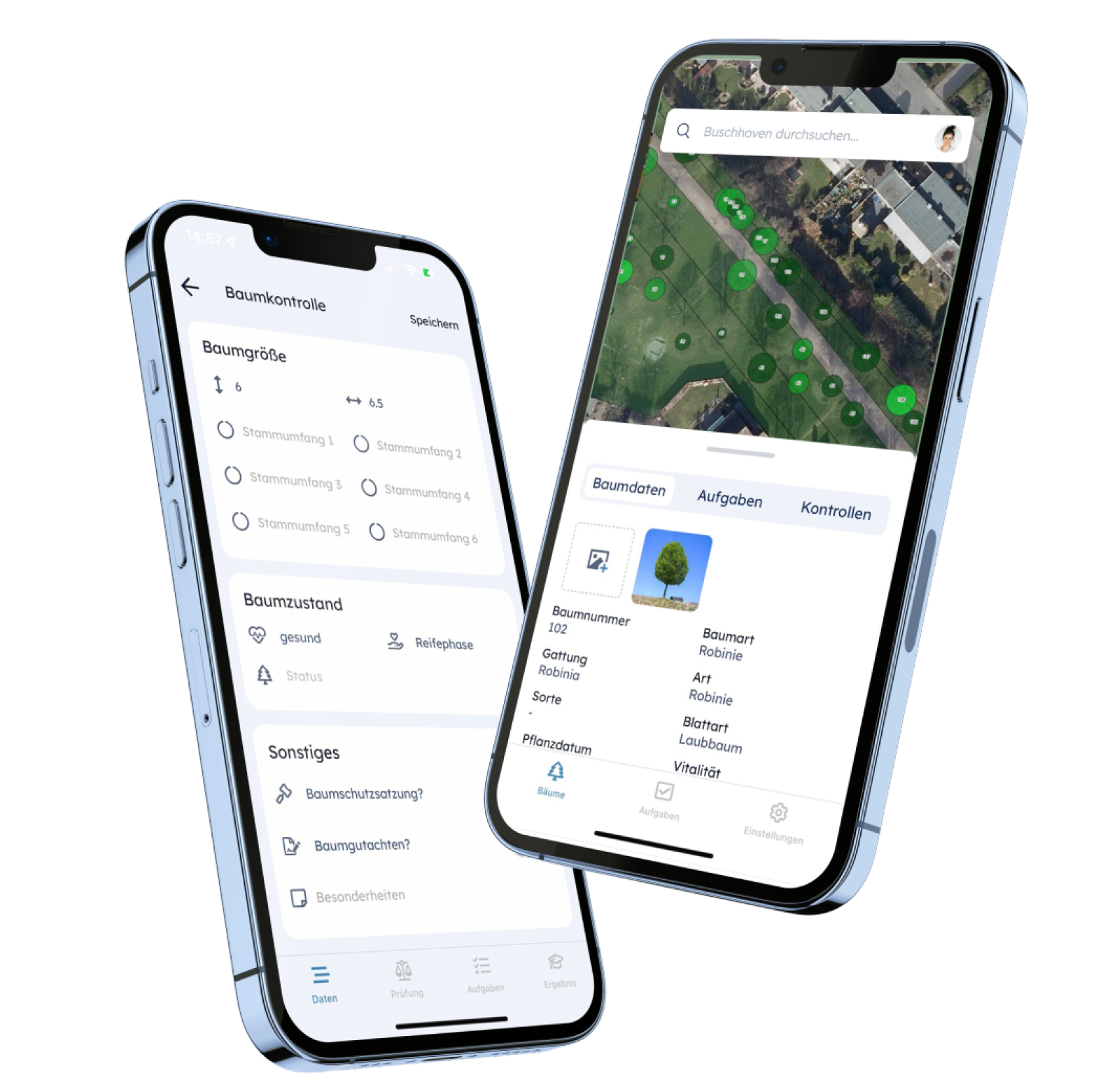 Die Baumkontrolle auf dem Smartphone